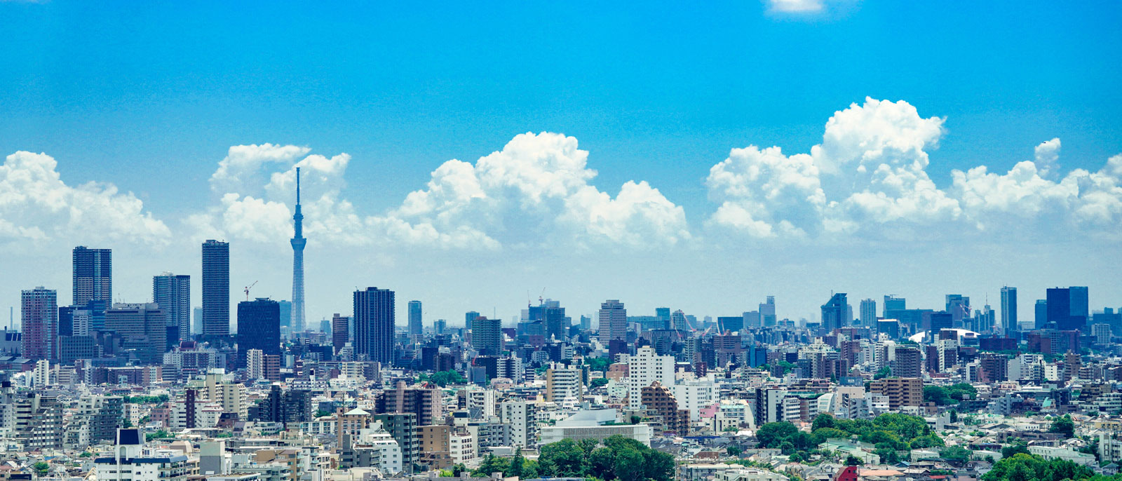 東京